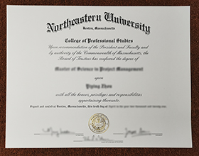 Northeastern University Diploma1 