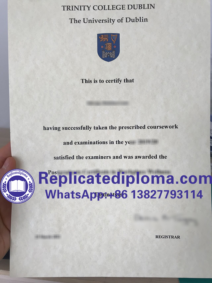 Trinity College Dublin diploma