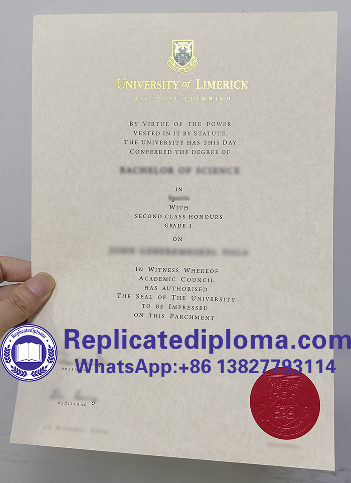 University of Limerick diploma