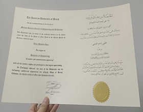 how-much-to-buy-american-university-of-beirut-diploma-online