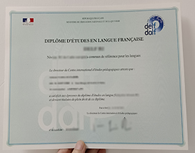 Trouver Un Faux Diplôme D'études En Langue Française Meilleur Fabricant ...