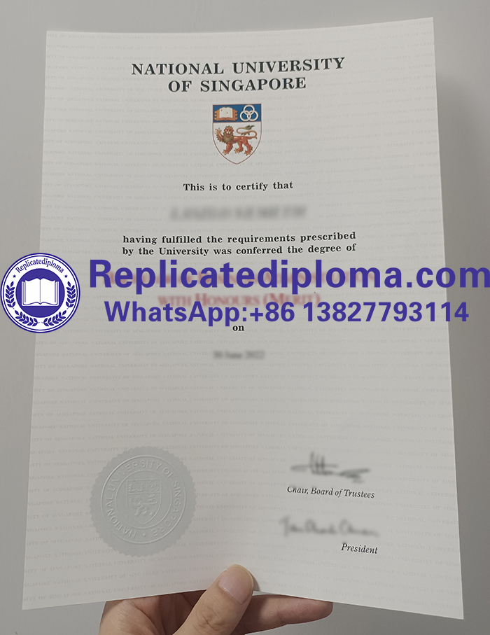 National University of Singapore degree