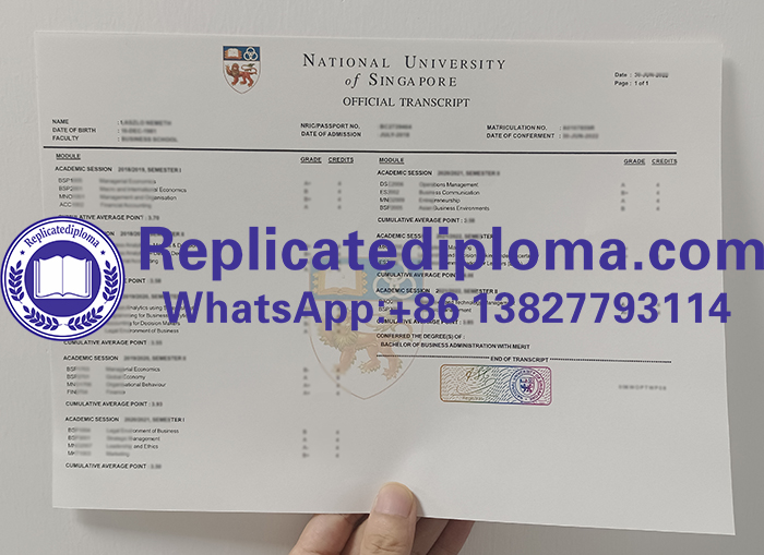 National University of Singapore transcript