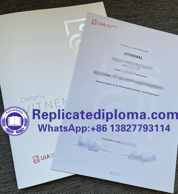 University of Agder diploma