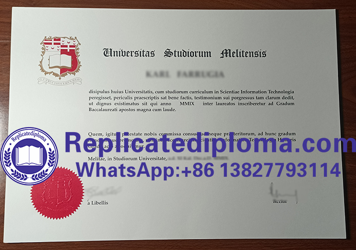 University of Malta diploma