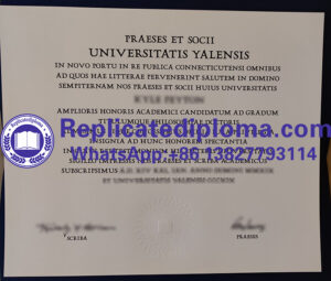 Yale University diploma HD sample, order Yale University degree online ...