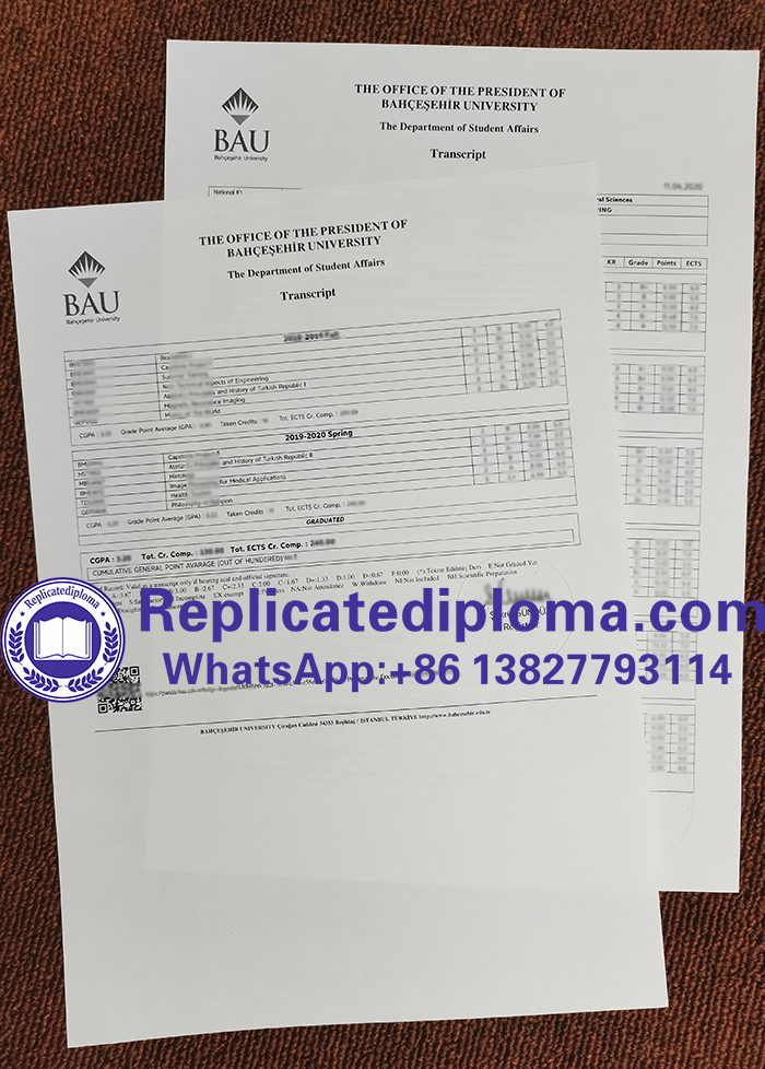 Bahçeşehir University transcript