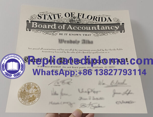 100% Original Copy Of Florida Board Of Accountancy CPA Certificate ...