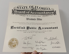 100% original copy of Florida Board of Accountancy CPA certificate ...