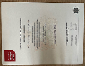 University of South Wales diploma HD sample, order USW degree