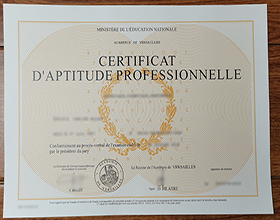 How much to buy Certificat d'aptitude professionnelle online ...