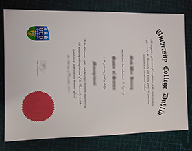 University College Dublin diploma are a modern transmission of knowledge.
